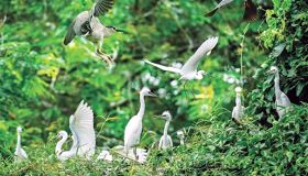 Begin your visa-prepared day with Hanoi’s tranquil ambiance
